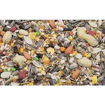 Kampol Karma Papuga Duża Premium PADP z orzechami i warzywami 1 kg